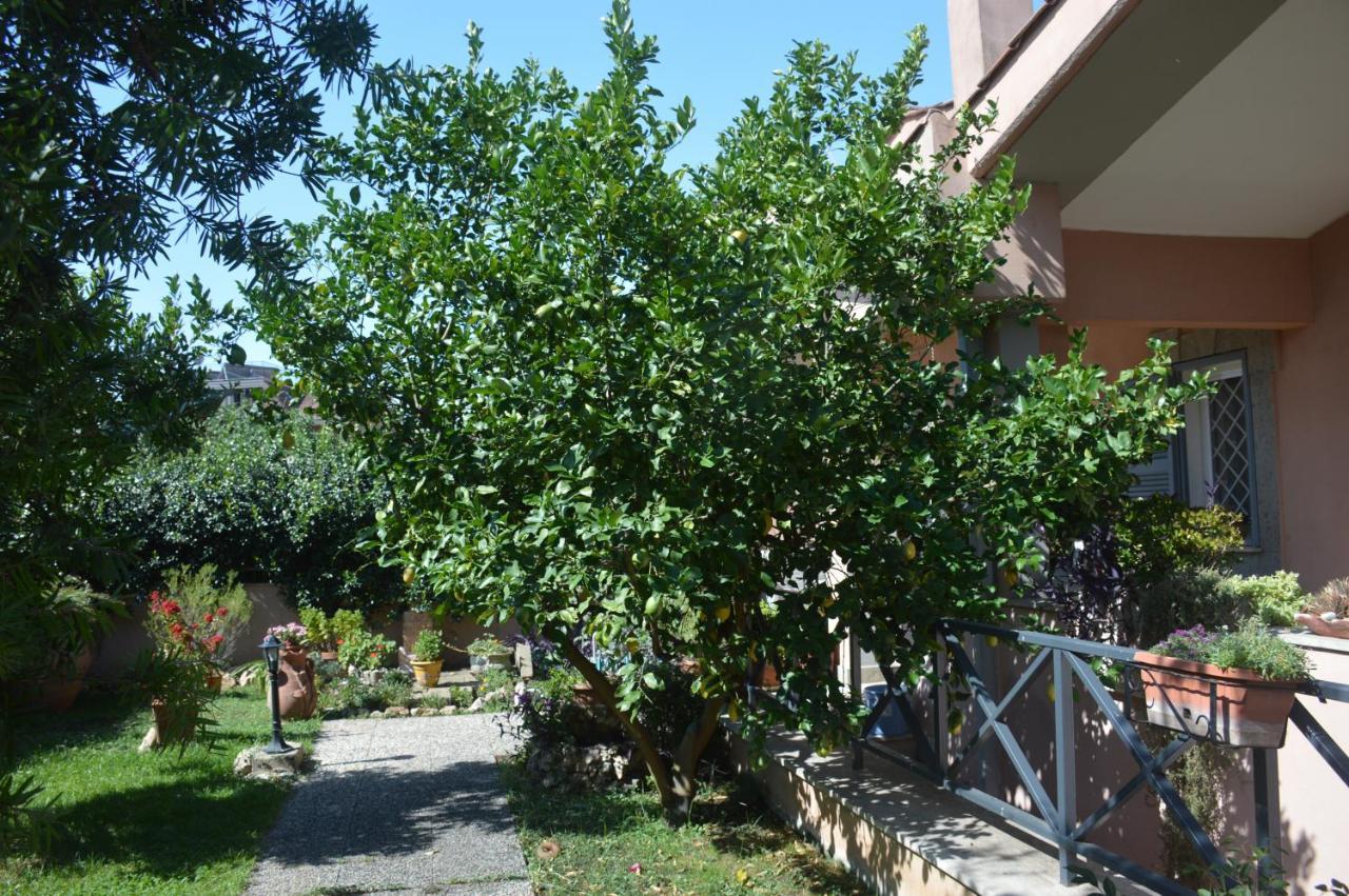 Pensión L'oasi Delle Vigne